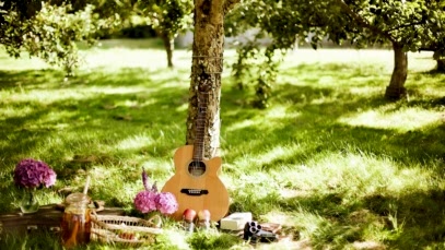 gitar sosyoloji