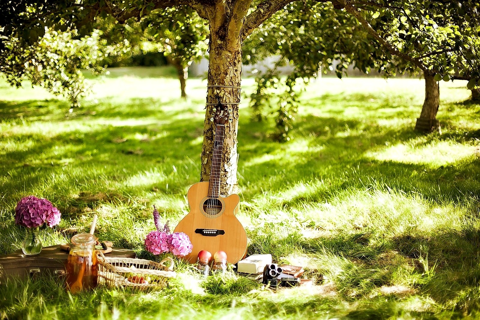 gitar sosyoloji